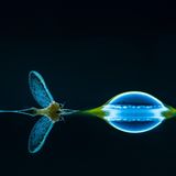 Csaba Daroczi | cupoty.com