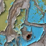 Mike Curry | cupoty.com