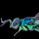 Jan Rosenboom | cupoty.com