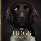 Vincent Lagrange - Dogs