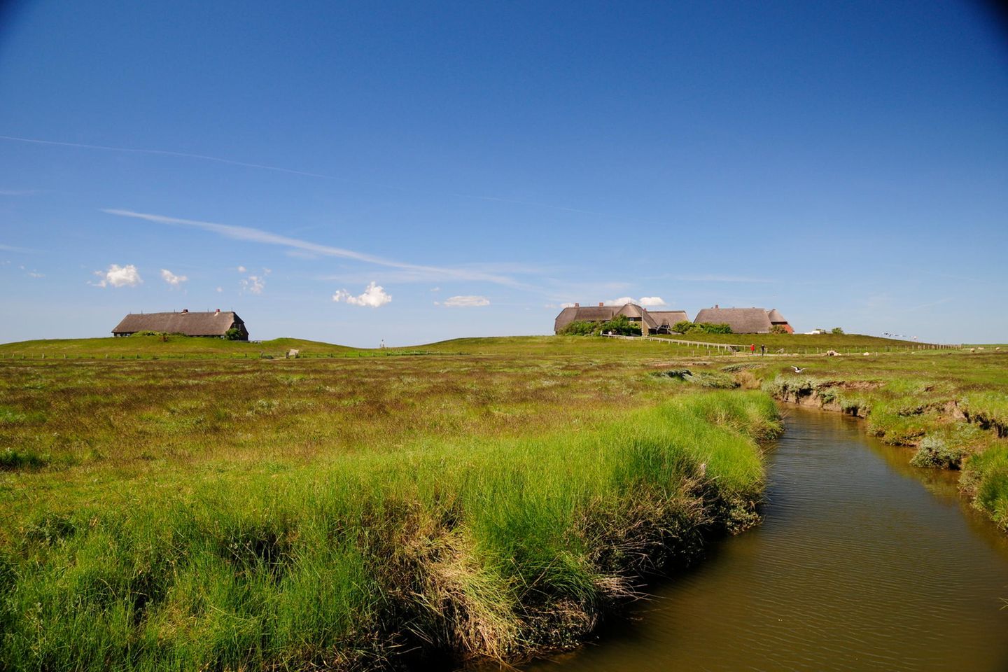 Überall ist Horizont: Auszeit auf der Hallig Gröde Halli Gröde, Schleswig-Holstein