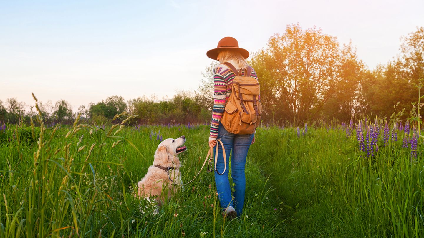 Hunde gehören in Naturschutzgebieten immer an die Leine