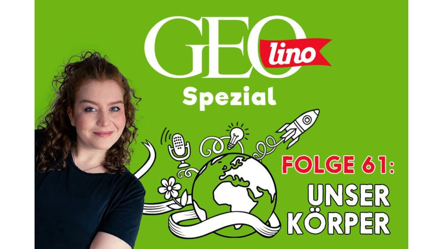 GEOlino Podcast Folge 61: Unser Körper