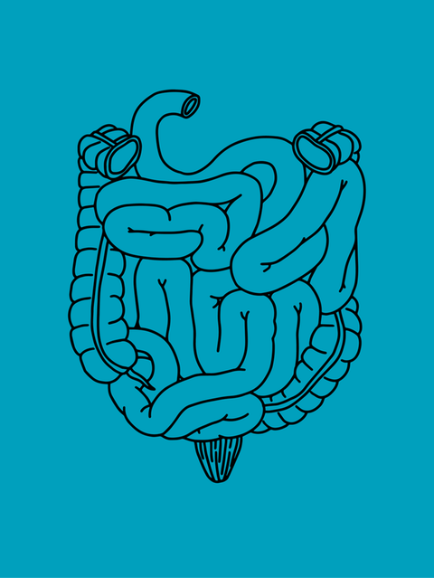 Blähungen: Von lästigen (aber harmlosen) Gasen