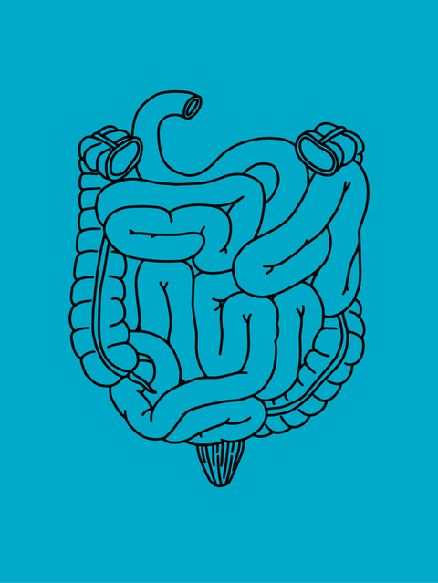 Durchfall: Stoffe in den Samenschalen des Flohsamenkrauts binden im Darm große Mengen Wasser – das hilft gegen Durchfall wie gegen Verstopfung