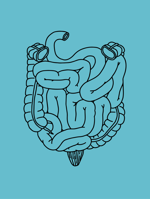 Übelkeit : Ingwer enthält die Stoffe Gingerol und Shogaol, die auf das Brechzentrum im Gehirn einwirken und Übelkeit lindern