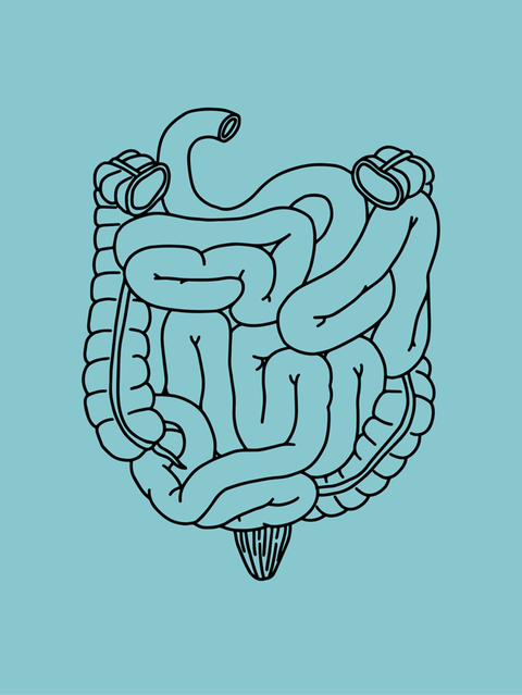 Verstopfung: Ballaststoffe, etwa in Walnüssen, quellen im Darm auf, erhöhen das Volumen des Verdauten und helfen so, es weiterzubefördern