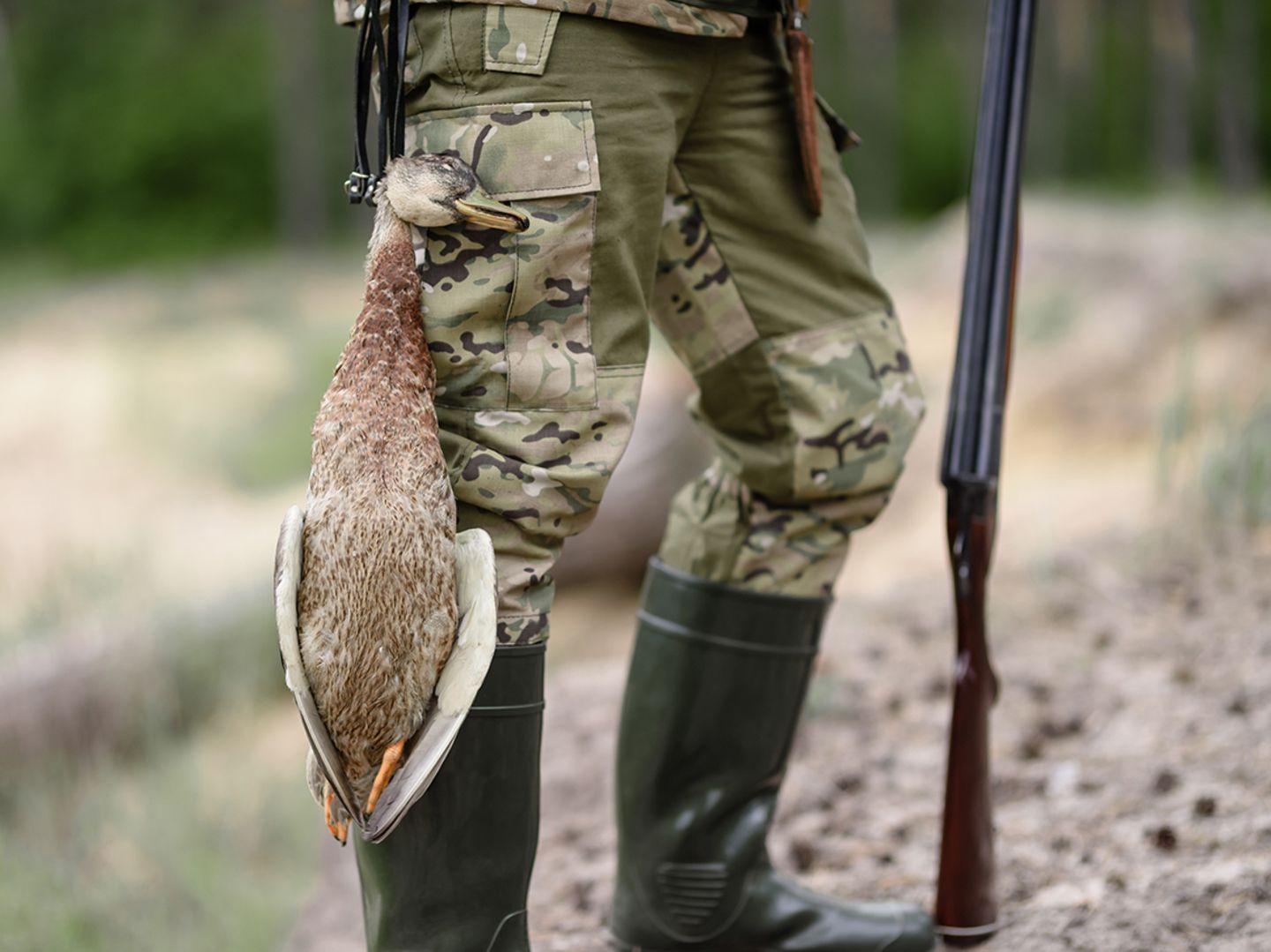 So wehren Sie sich gegen die Jagd auf dem eigenen Grund und Boden - [GEO]