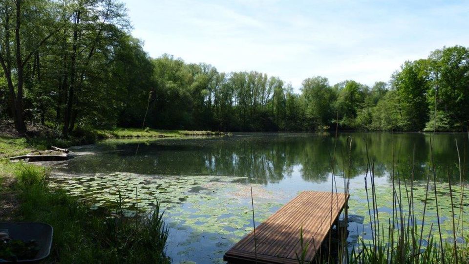 Zwangsbejagung: Auf dem Gelände einer ehemaligen Tongrube entstand ein Naturparadies: die Arche Lütz Auf dem Gelände einer ehemaligen Tongrube entstand ein Naturparadies: die Arche Lütz