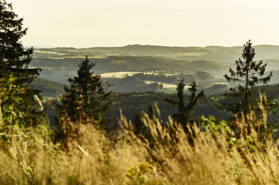 Blick auf die bewaldeten Hügel vom Aussichtspunkt des Frankenwaldsteigs