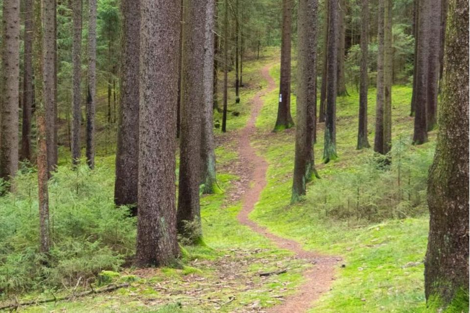 Wanderpfad durch den Frankenwald Wanderpfad durch den Frankenwald