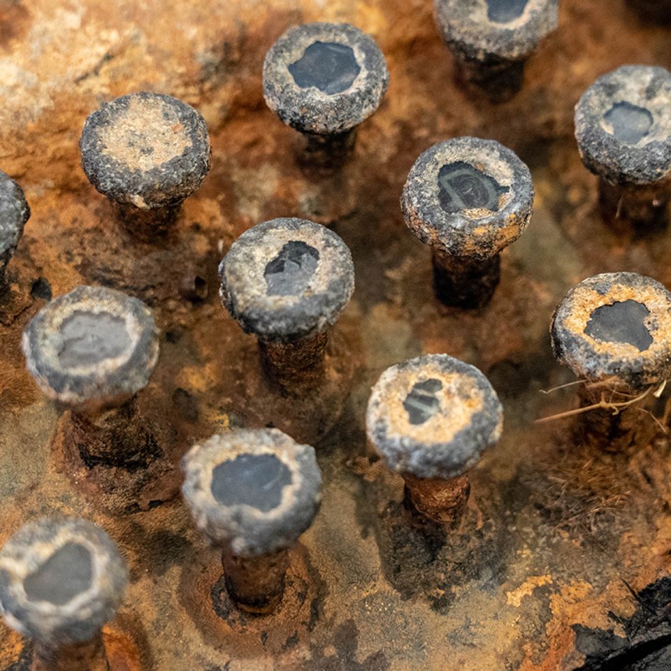Die Ostsee hat Spuren hinterlassen: Chiffriermaschine Enigma