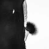 Nahe der polnischen Stadt Rybnik fotografierte Marcin Giba diesen Schwan: ein Bild von schlichter Symbolkraft