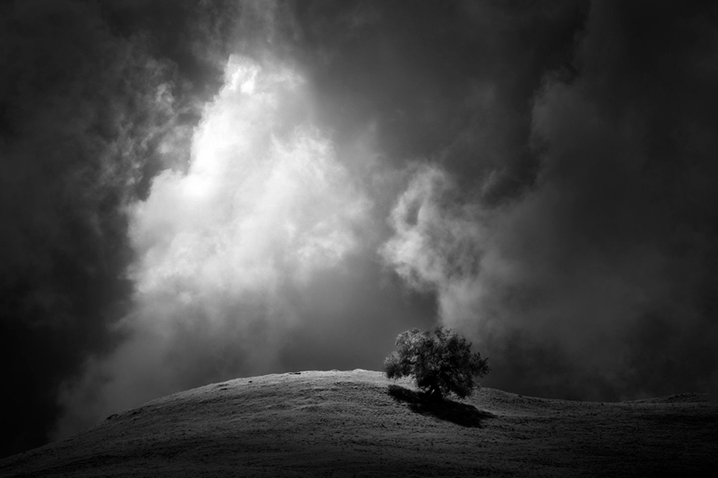 Geradezu barock mutet die Landschafts-Szene an, die Fotograf Nathan Wirth festhielt