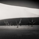 Das Motiv mit Düne und abgestorbenen Bäumen in der Wüste Namib ist bekannt. Ungewohnt ist die wohltuende Reduktion auf Kontraste und Grauwerte. Hector Izquierdo Seliva errang damit den dritten Platz