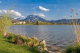 Blick auf den Hopfensee nahe Füssen