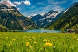 Vilsalpsee im Frühling mit blühender Wiese und Bergen im Hintergrund