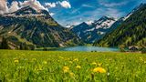 Vilsalpsee im Frühling mit blühender Wiese und Bergen im Hintergrund