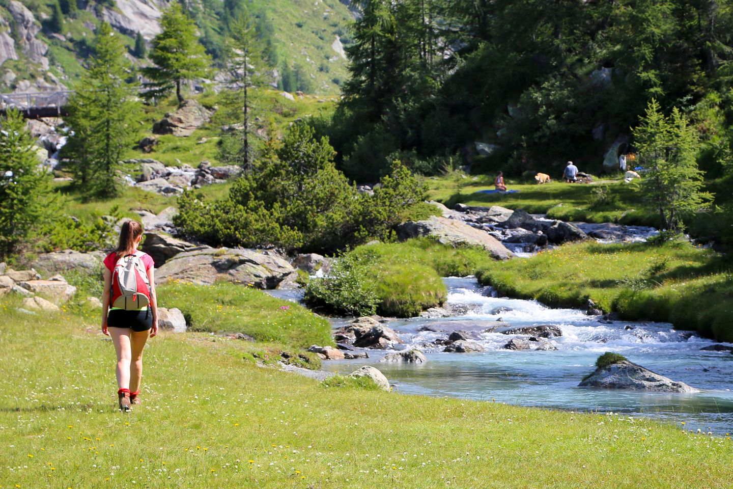Wandernde Frau am Fluss in den Alpen