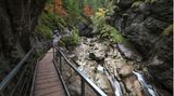Weg durch die Starzlachklamm im Allgäu, Bayern