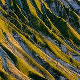 Wiese und Geröll – eigentlich nichts Besonderes. Aber diese Riffelungen, fast symmetrisch hintereinanderliegend und wie von Geisterhand in die Landschaft gezogen, bieten doch einen faszinierenden Anblick. Entdeckt im Puittal beim Aufstieg zum Scharnitzjoch im südlichen Wetterstein.