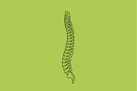 Rücken-Therapien: Bewegungstherapie: Nur kein Stillstand!