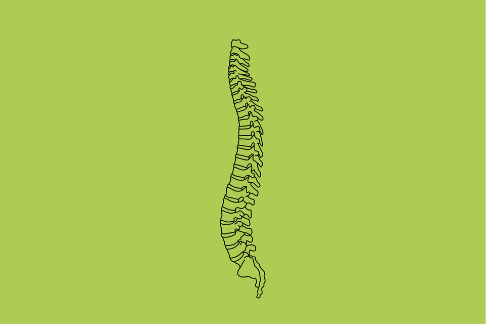 Rücken-Therapien: Bewegungstherapie: Nur kein Stillstand!