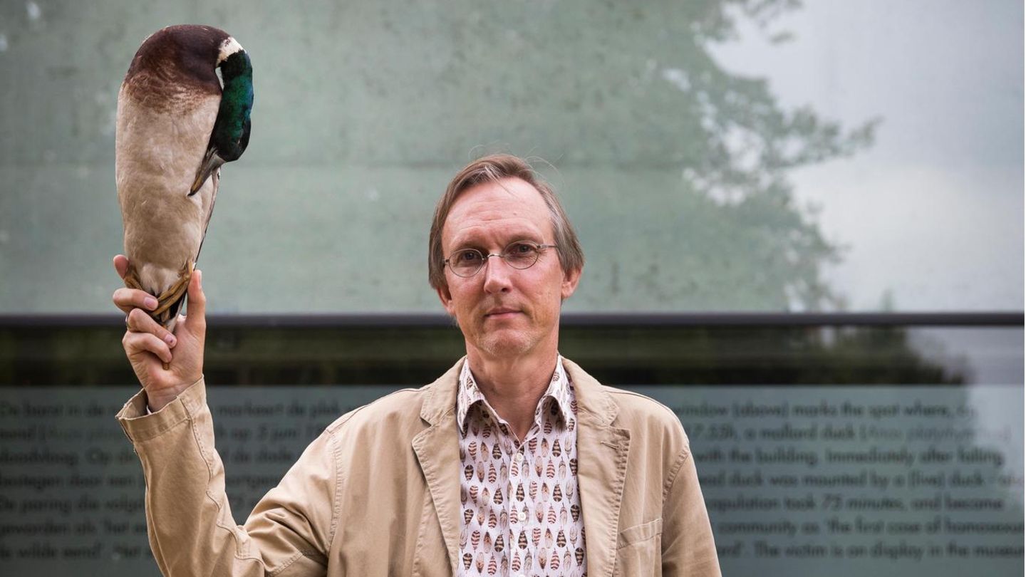 Kees Moeliker vor dem Fenster, wo der Erpel starb