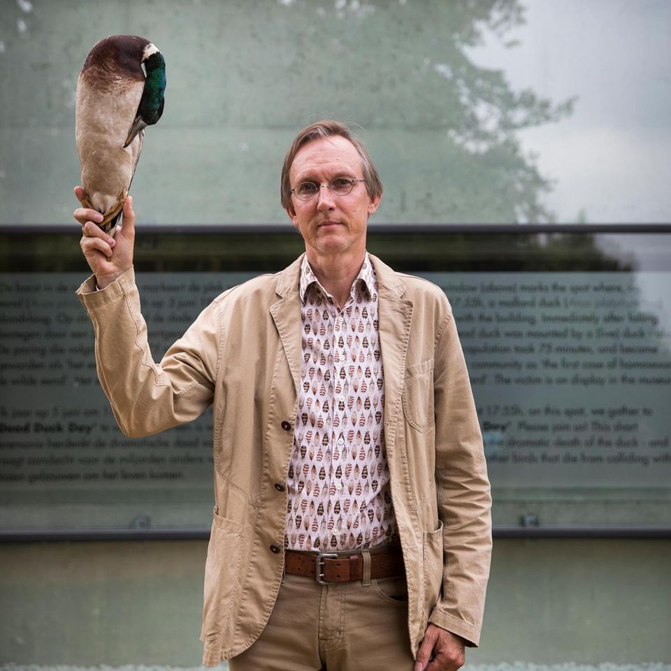 Kees Moeliker vor dem Fenster, wo der Erpel starb