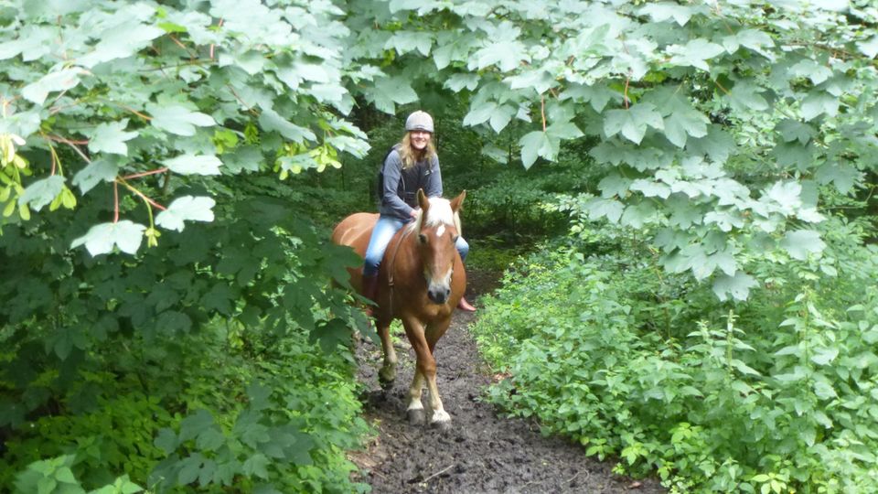 Anke Sparmann reitet gerne, etwa im Teutoburger Wald