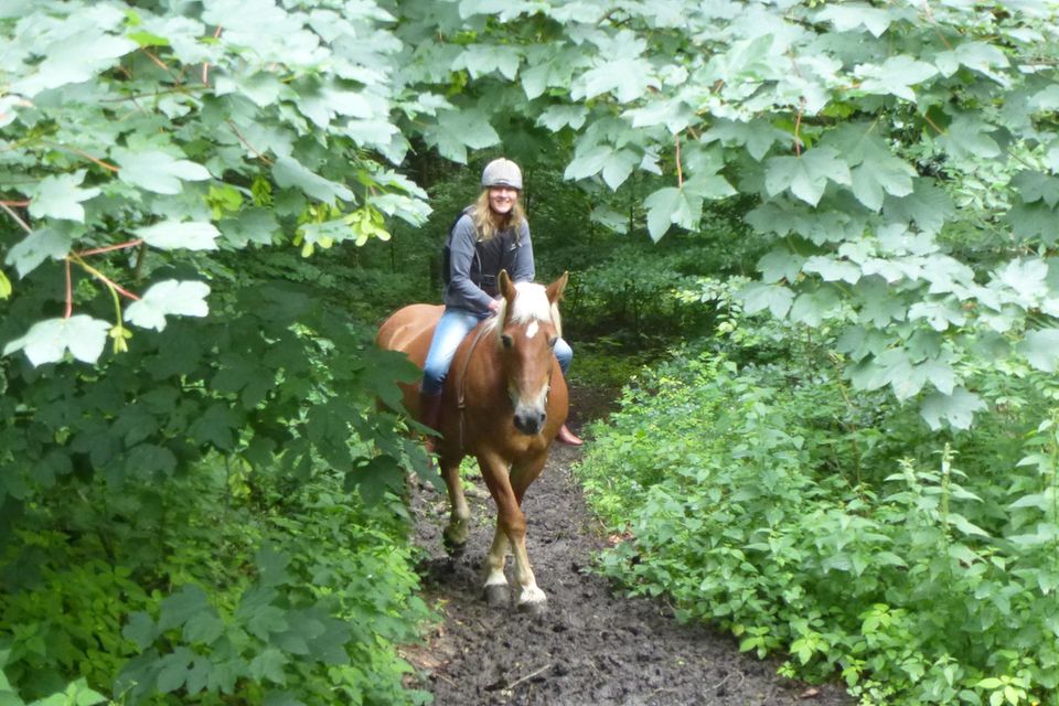 Anke Sparmann reitet gerne, etwa im Teutoburger Wald