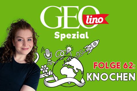 GEOlino Podcast Folge 62: Knochen