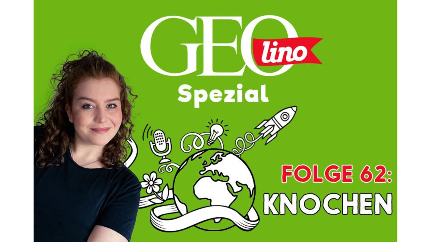 GEOlino Podcast Folge 62: Knochen