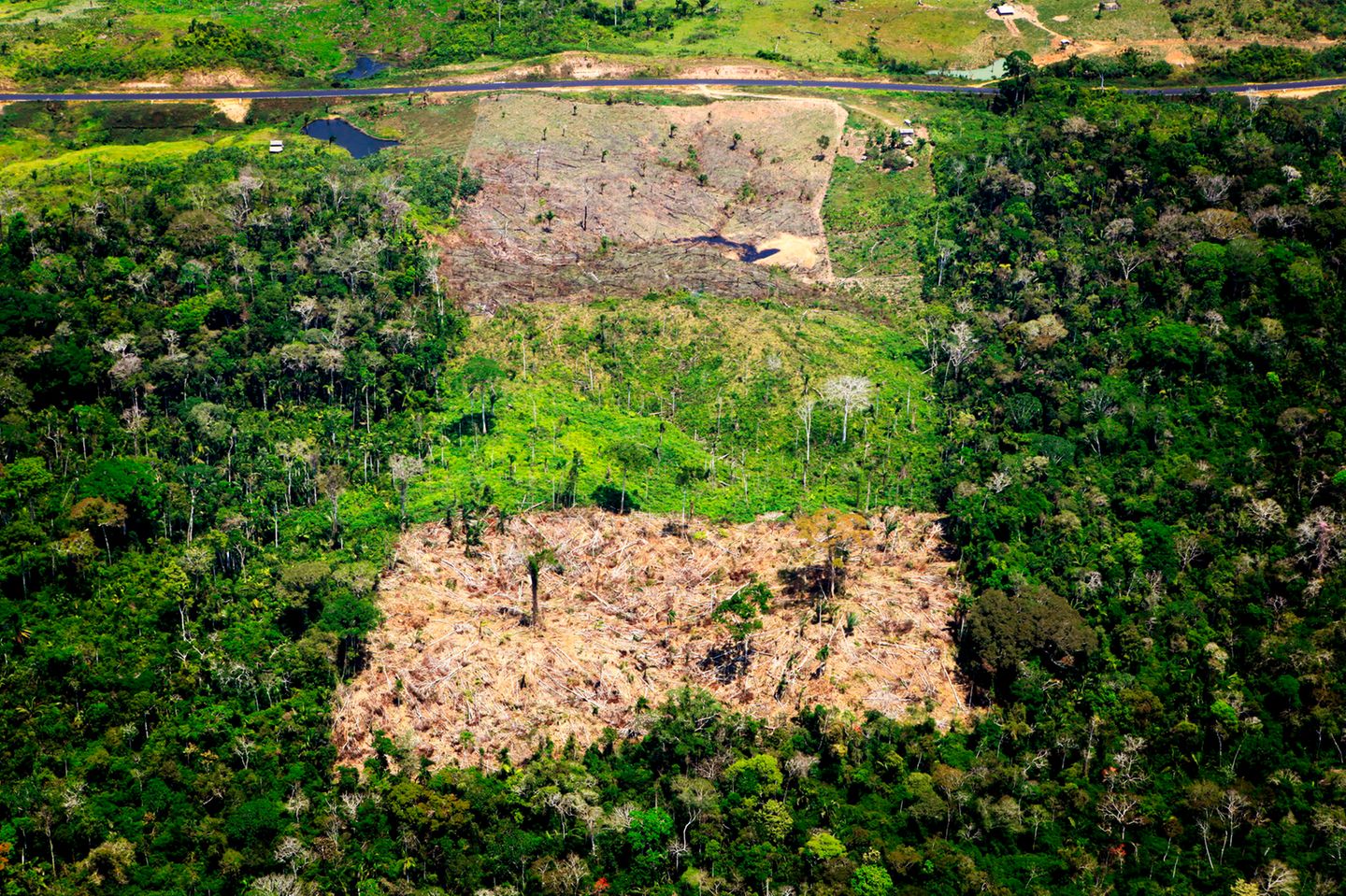 Luftaufnahme eines abgeholzten Gebiets im Amazonas-Regenwald in Acre, Brasilien. Für den Anbau von Soja, Kaffee und anderen Produkten für den Import in die EU ist zuletzt im Mittel jährlich Tropenwald auf einer Gesamtfläche von etwa der vierfachen Größe des Bodensees abgeholzt worden