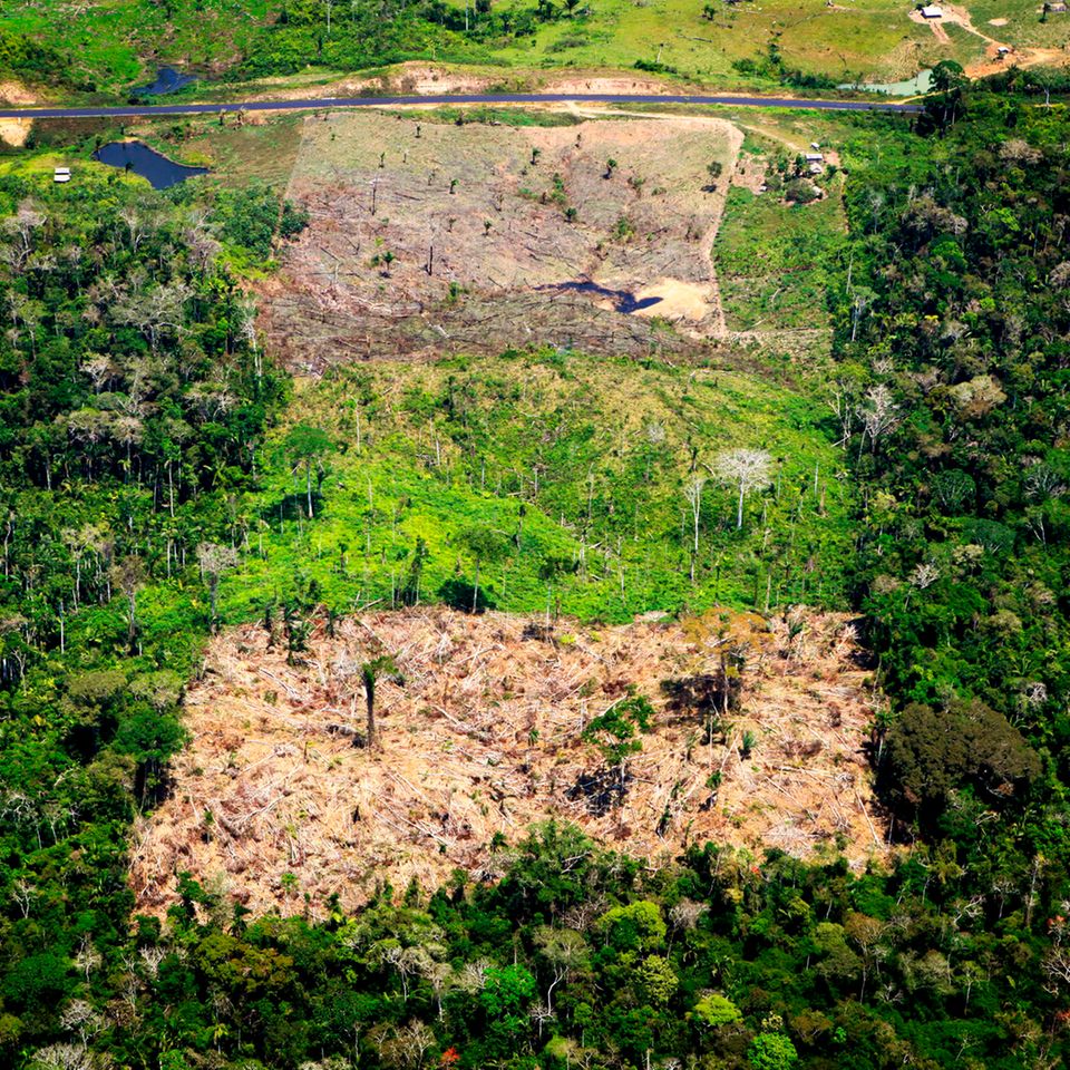 Luftaufnahme eines abgeholzten Gebiets im Amazonas-Regenwald in Acre, Brasilien. Für den Anbau von Soja, Kaffee und anderen Produkten für den Import in die EU ist zuletzt im Mittel jährlich Tropenwald auf einer Gesamtfläche von etwa der vierfachen Größe des Bodensees abgeholzt worden