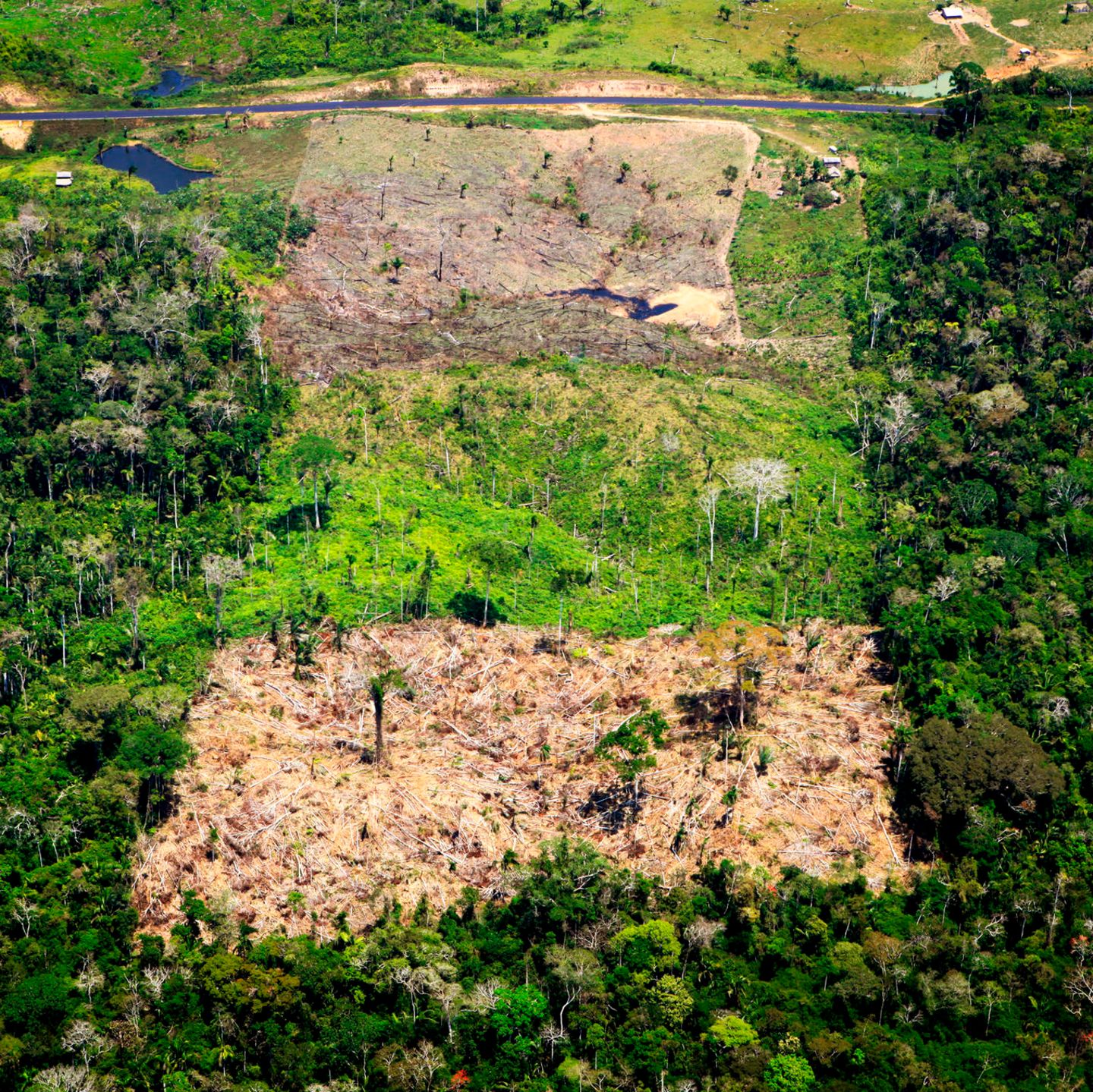 Weltrangliste Der Waldzerstorer Eu Auf Einem Spitzenplatz Geo