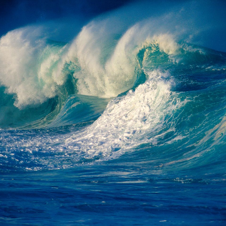 Welle