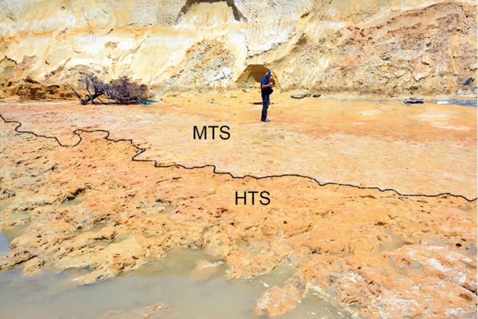 Archäologie: Die Fundstelle: Der Bereich mit Neandertalerspuren ist mit "HTS" markiert, der mit Spuren von Wirbeltieren mit "MTS" Die Fundstelle: Der Bereich mit Neandertalerspuren ist mit "HTS" markiert, der mit Spuren von Wirbeltieren mit "MTS"