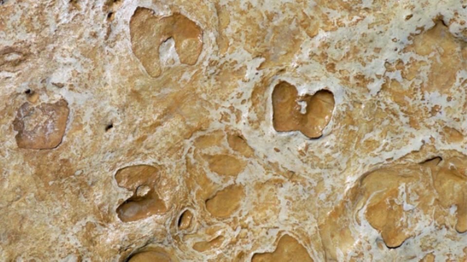 Archäologie: Haben hier Kinder gespielt? Oder einfach nur herumgestanden? Haben hier Kinder gespielt? Oder einfach nur herumgestanden?