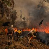 Feuerwehrmänner´ bekämpfen Brände in  Pantanal-Region