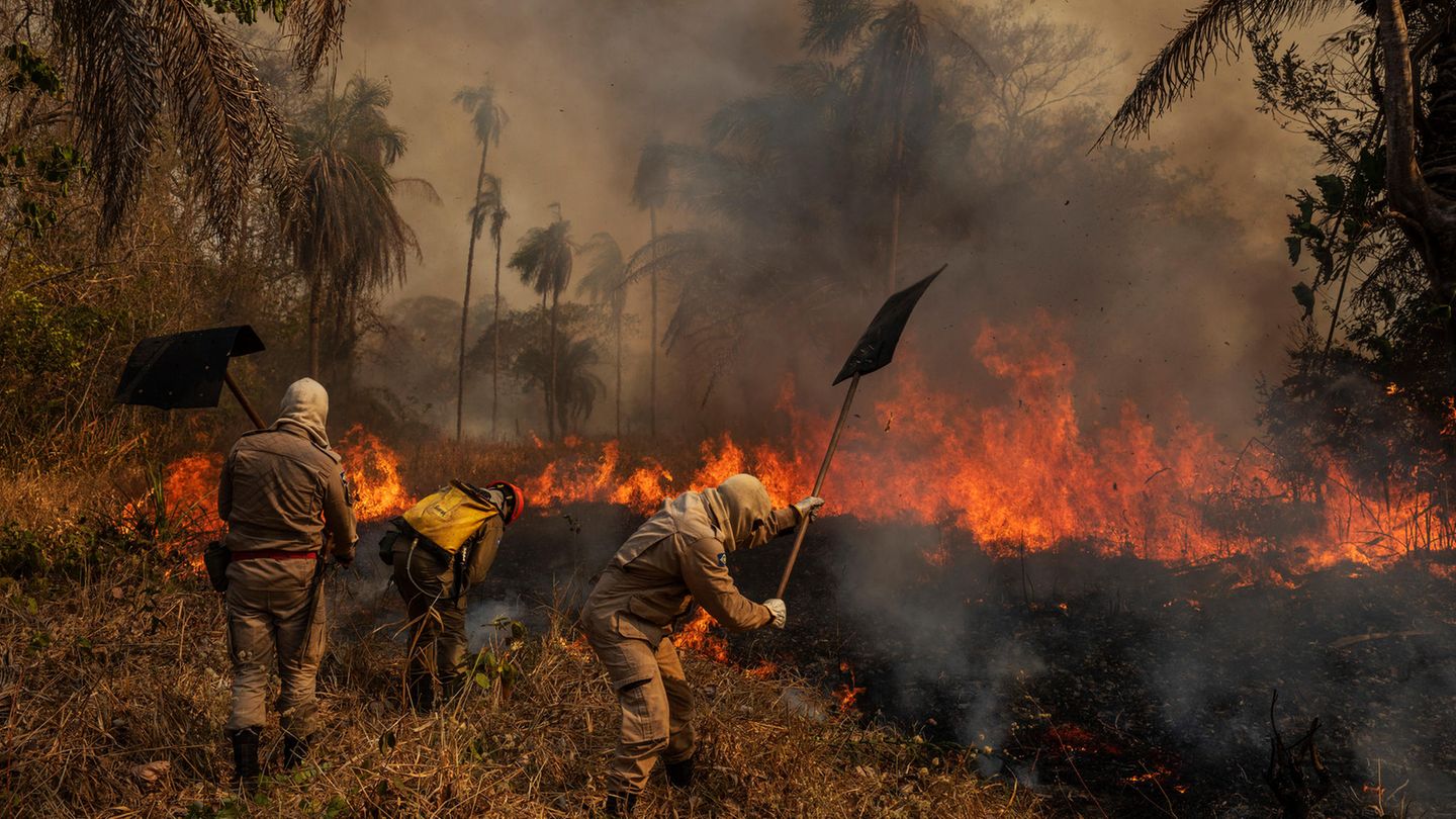 Feuerwehrmänner´ bekämpfen Brände in  Pantanal-Region