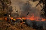 Feuerwehrmänner´ bekämpfen Brände in  Pantanal-Region