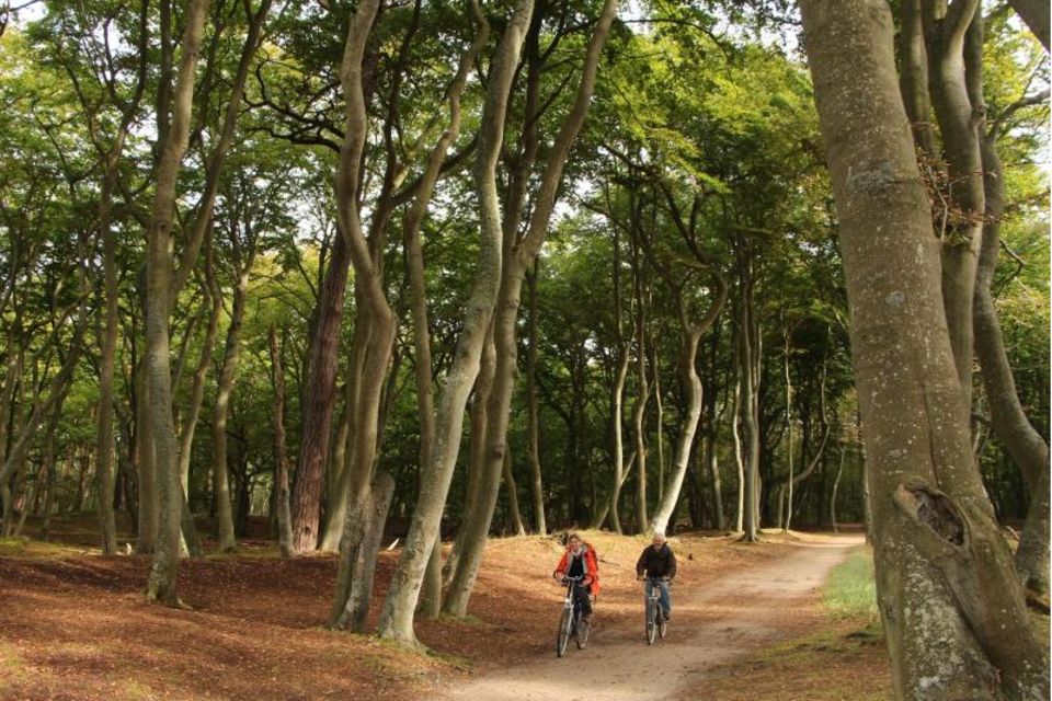 Fahrradfahrer im Wald nahe des Darßer Weststrands