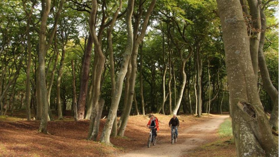 Fahrradfahrer im Wald nahe des Darßer Weststrands Fahrradfahrer im Wald nahe des Darßer Weststrands