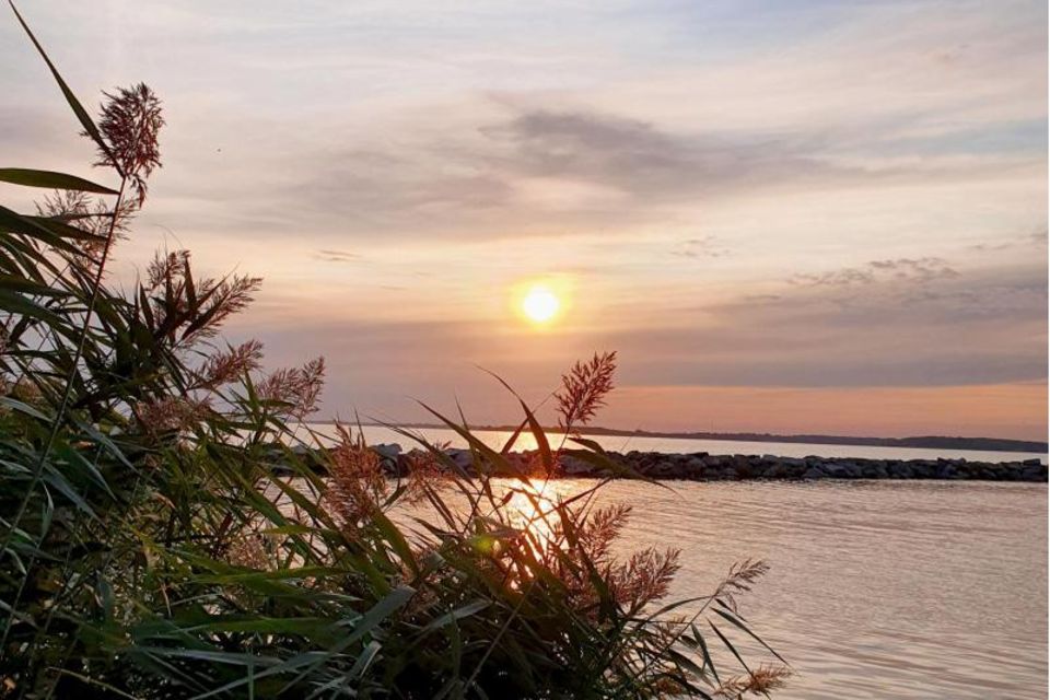 Abendstimmung auf der Insel Vilm