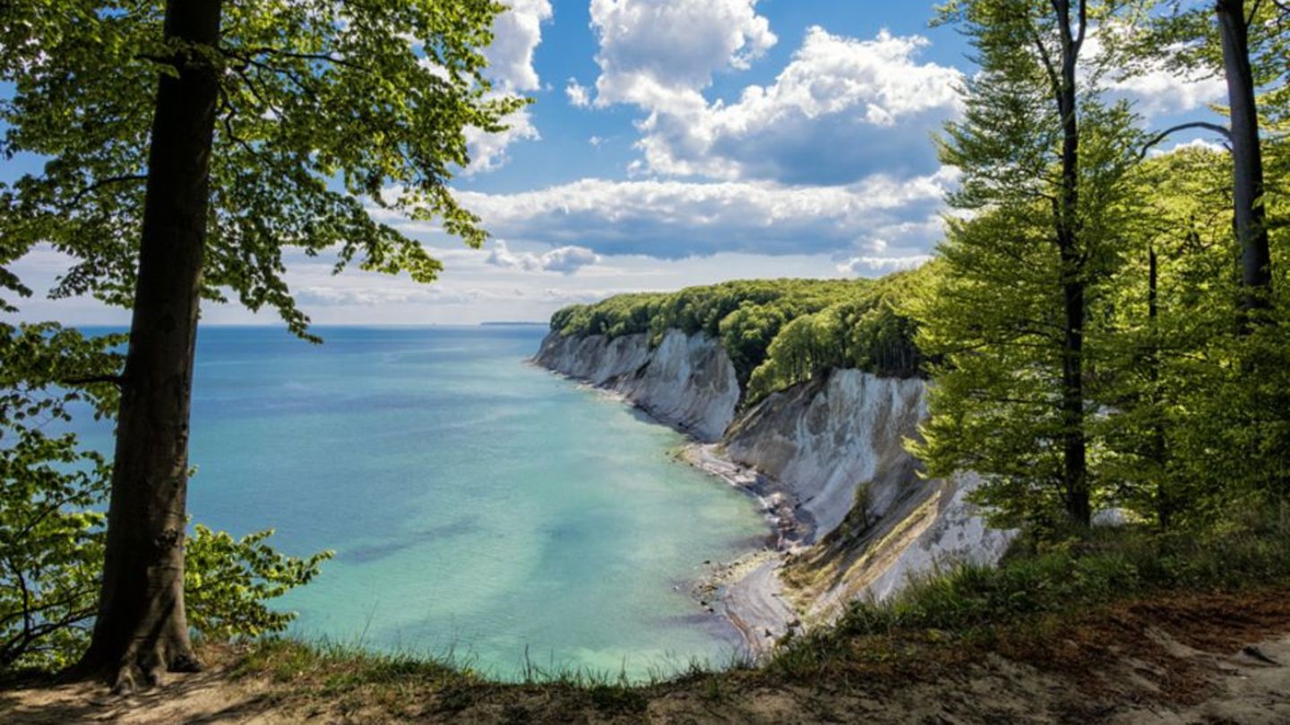 Die Kreidefelsen von Rügen sind für viele ein Sehnsuchtsziel