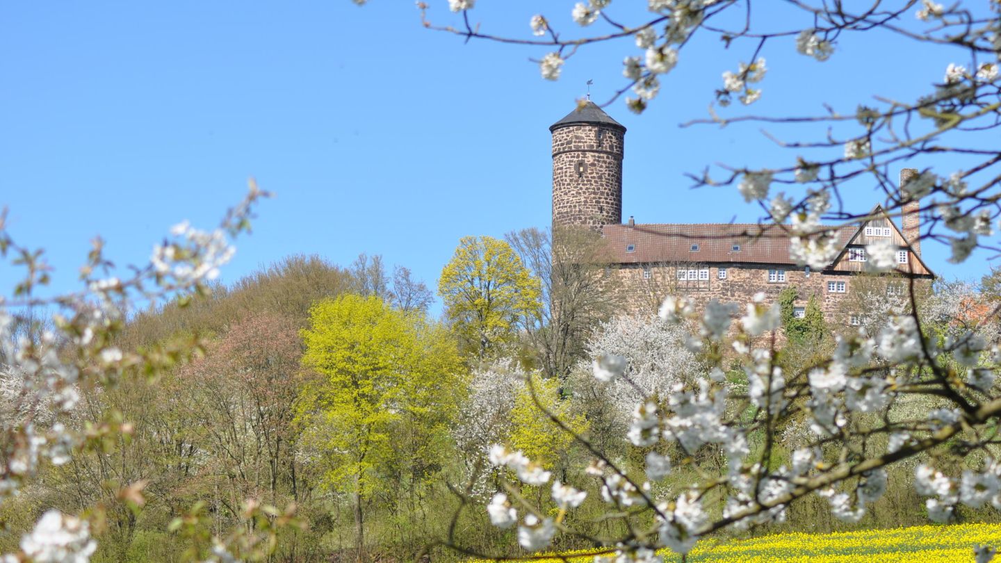 Witzenhausen Kirschbäume blühen in Witzenhausen