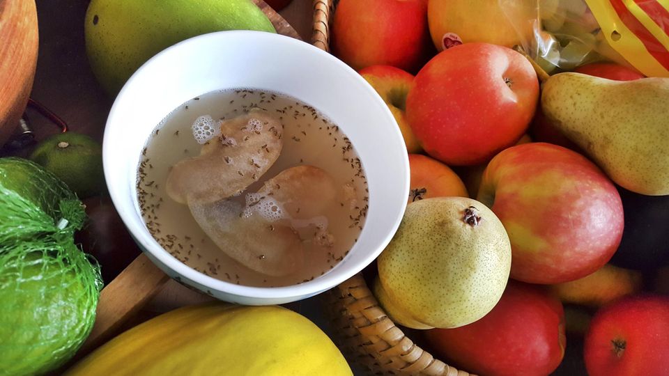 Eine Schüssel mit Essig und Spülmittel fungiert als Fruchtfliegenfalle