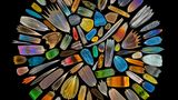 Schmetterlingsflügel von XinPei Zhang
