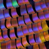 Nachtfalter von Walter Ferrari